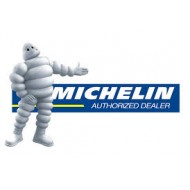 MICHELIN (45)